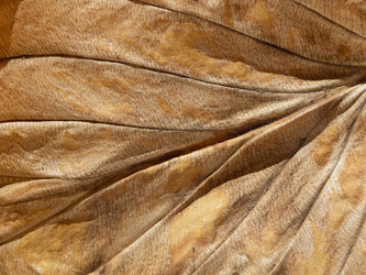 Similar image 21476431