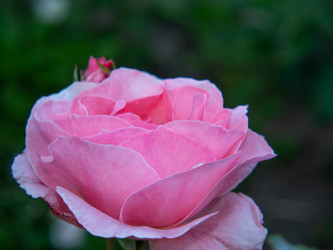 Similar image 21476435