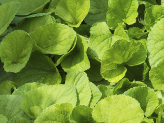 Similar image 21476437