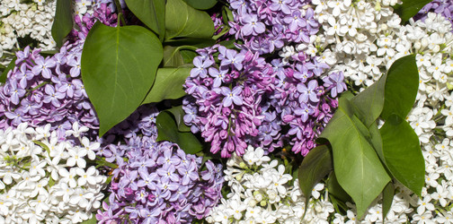 Similar image 21479023