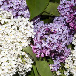 Similar image 21479024