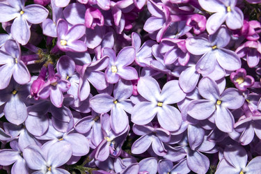 Similar image 21479025