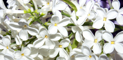 Similar image 21479026