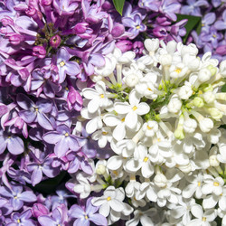 Similar image 21479028