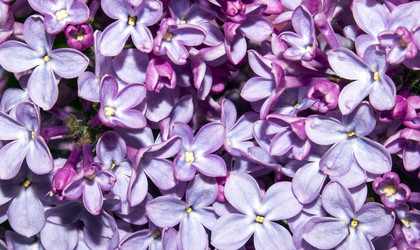 Similar image 21479029