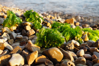 Similar image 21478029