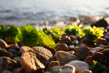 Similar image 21478034