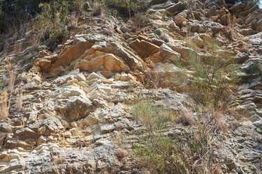 Similar image 21478302