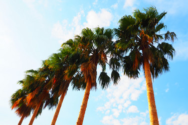 Similar image 21478303