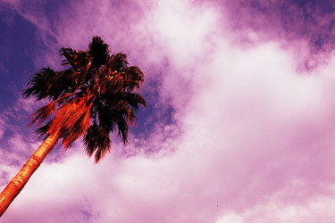 Similar image 21478304