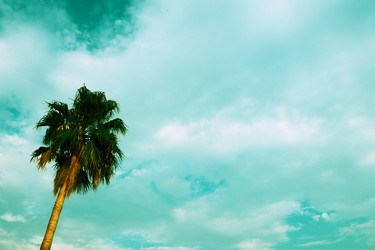 Similar image 21478306