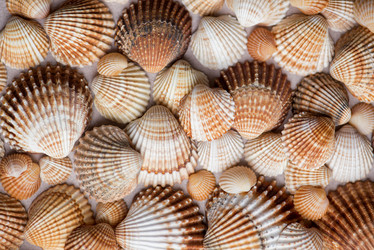 Similar image 21476916