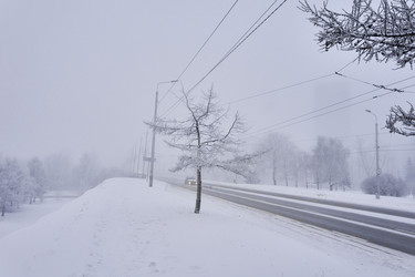 Similar image 21477558