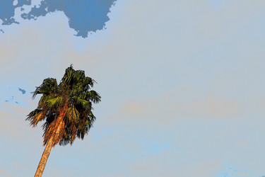 Similar image 21478307