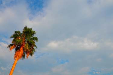 Similar image 21478308