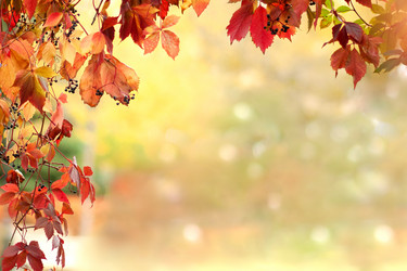 Similar image 21476920