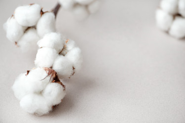 Similar image 21477273