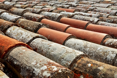 Similar image 21476925