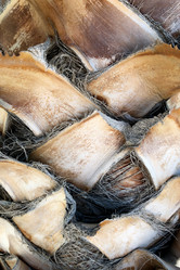 Similar image 21476926