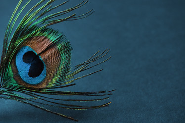 Similar image 21477560