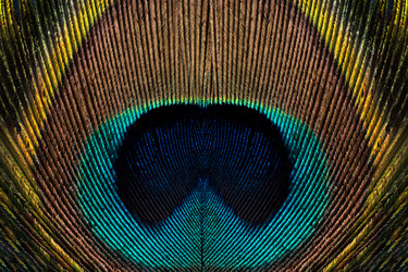 Similar image 21476927