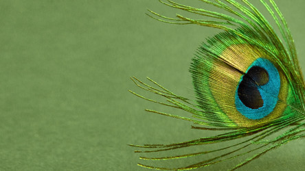 Similar image 21476928