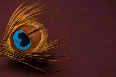 Similar image 21477275