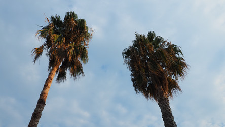 Similar image 21478312