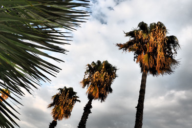 Similar image 21478313