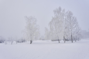 Similar image 21477562