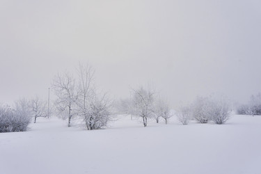 Similar image 21477563