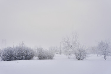 Similar image 21477565