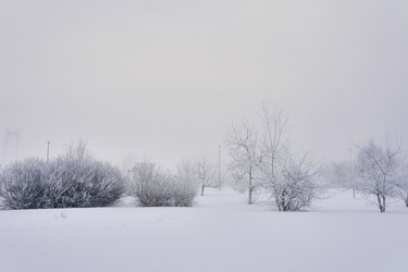 Similar image 21477566