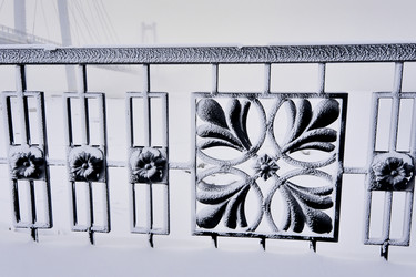 Similar image 21477569