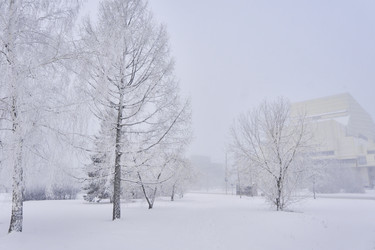 Similar image 21477570