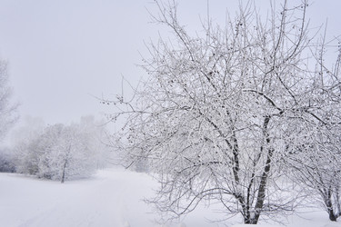 Similar image 21477571