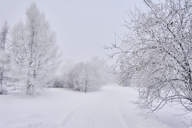 Similar image 21477572