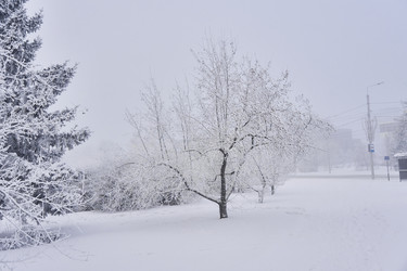 Similar image 21477574