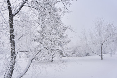 Similar image 21477575