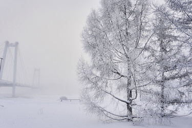 Similar image 21477576