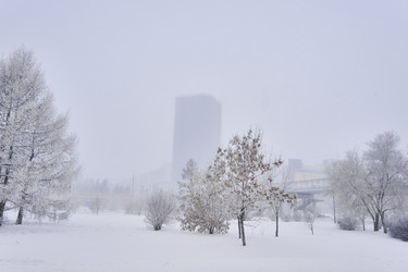 Similar image 21477577