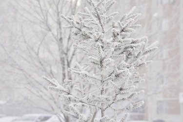 Similar image 21477579