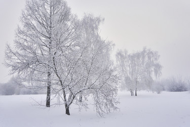 Similar image 21477580