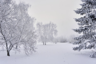 Similar image 21477581