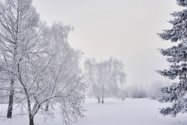 Similar image 21477582