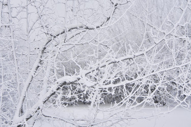 Similar image 21477583