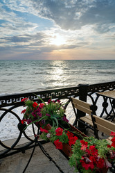 Similar image 21477586