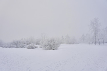 Similar image 21477597