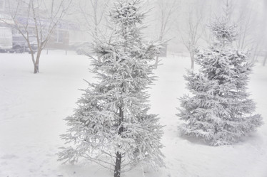 Similar image 21477599