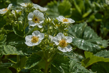 Similar image 21477147